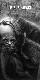 Klaus Kinski.jpg